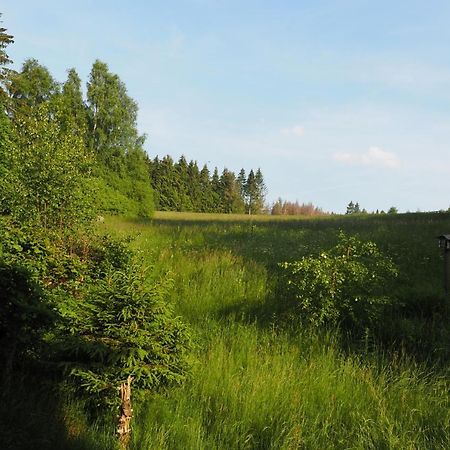 Ferienwohnung Am Kunstberg 29 Алтенау Екстериор снимка