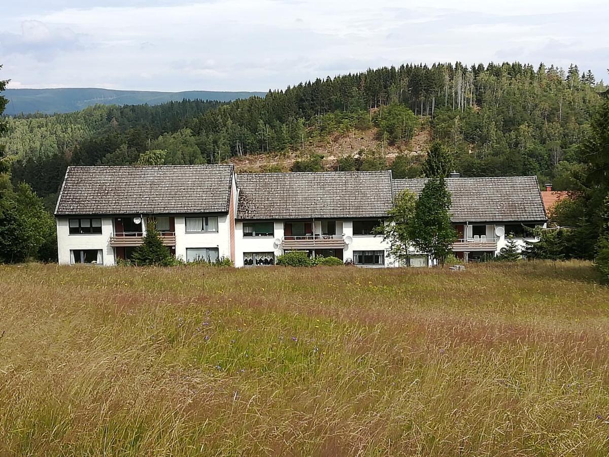 Ferienwohnung Am Kunstberg 29 Алтенау Екстериор снимка